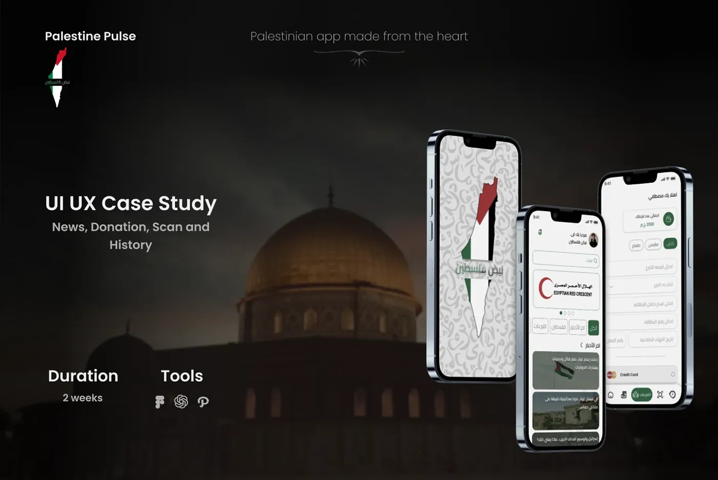 Palestinian App project cover